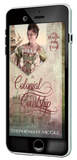 EBOOK A Colonial Courtship (Back Inn Time book 3)
