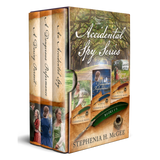 The Accidental Spy Series